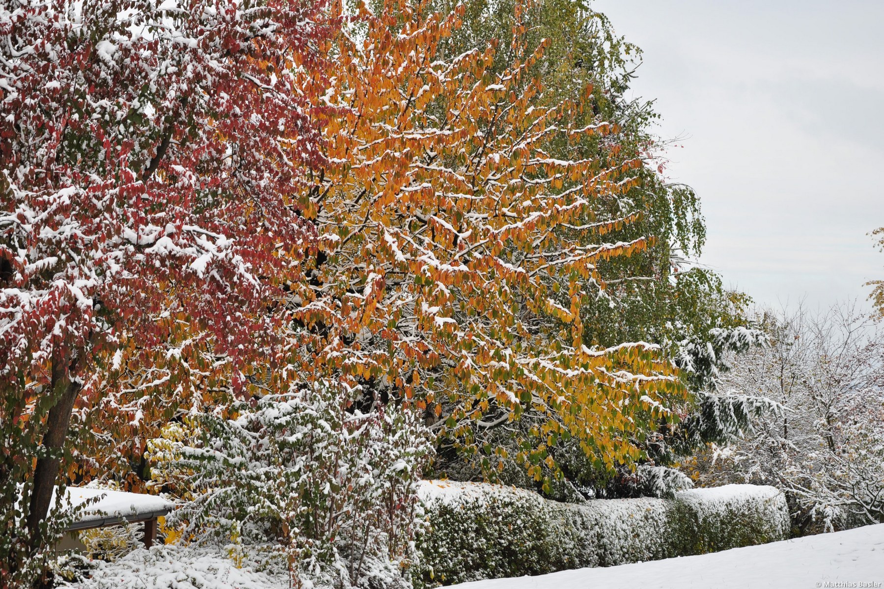Die Farben des Spätherbstes